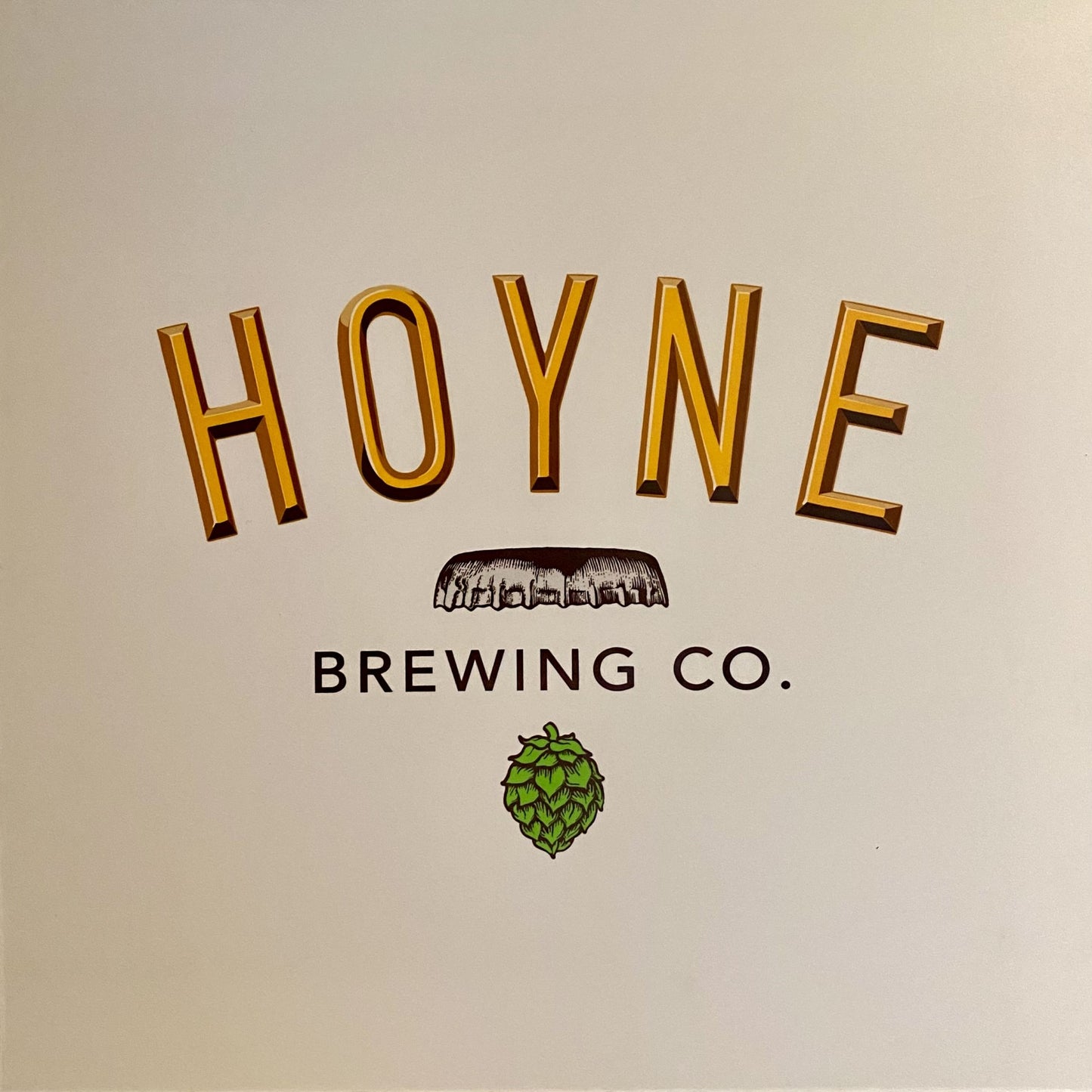 Hoyne Logo Sign